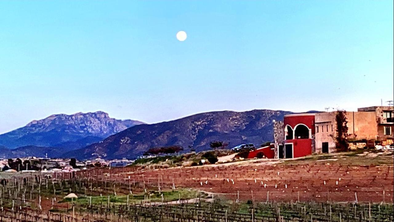Finca Vidandrei Casa Mazahua Valle de Guadalupe Exterior photo